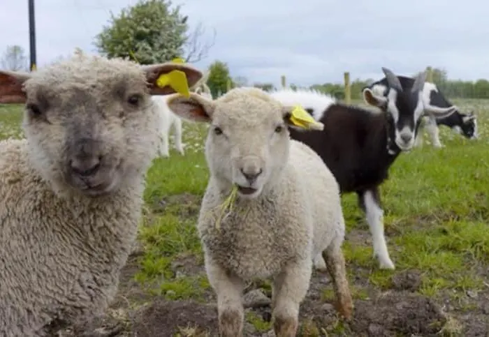 Niamh'S House Cosy And Comfy In The Heart Of Kinvara 킨바라